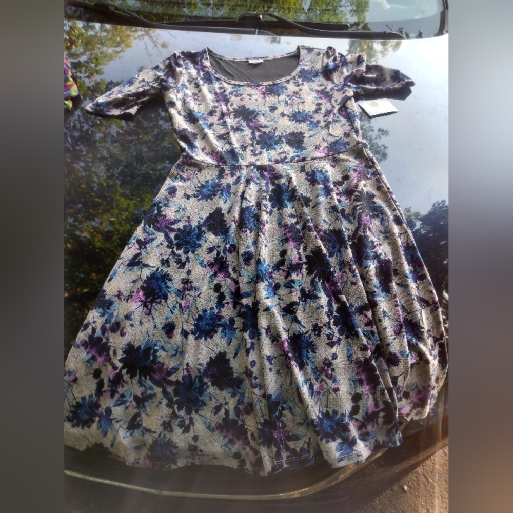 Lularoe Nicole XXXL dress